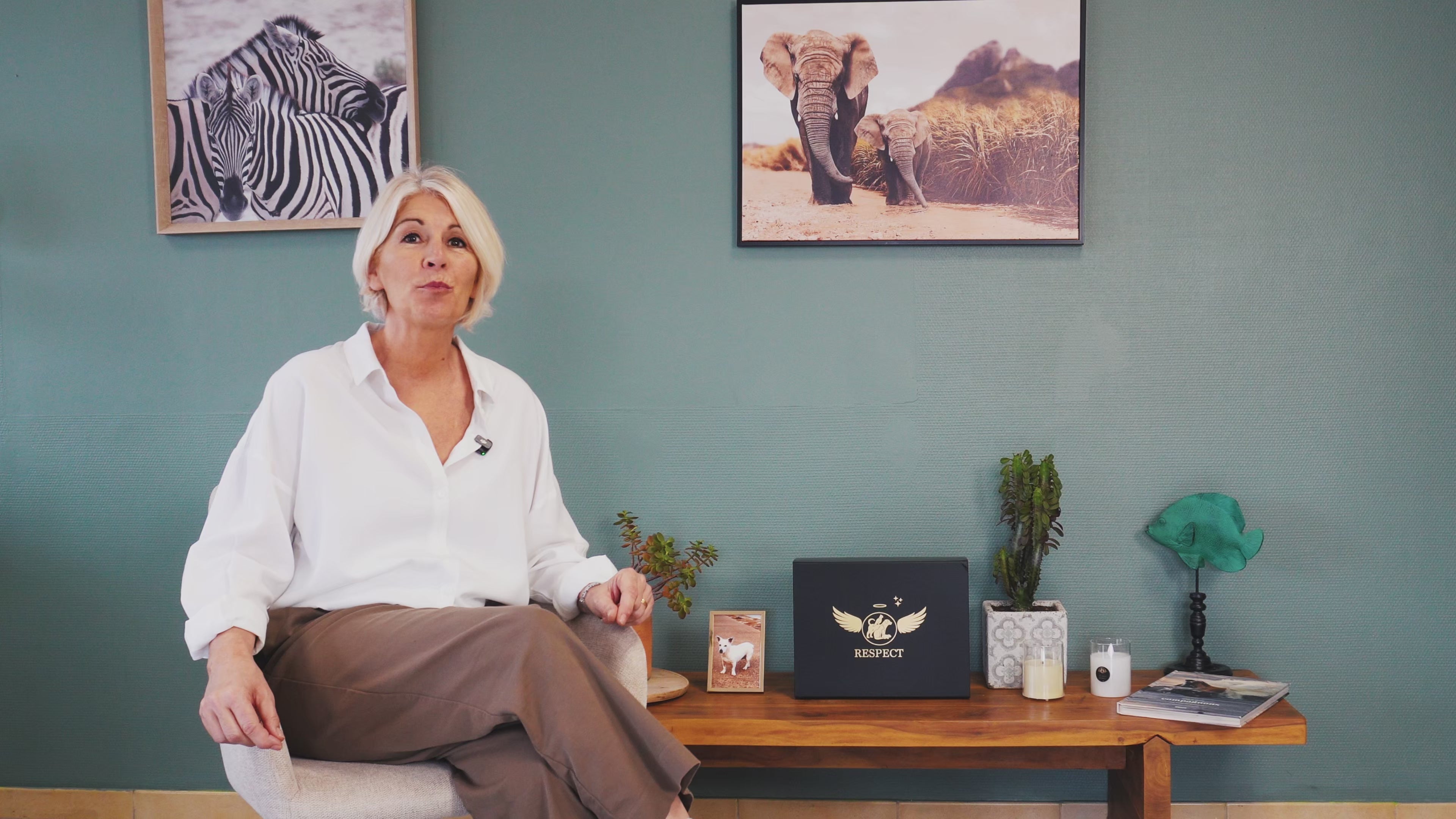 Charger la vidéo : 